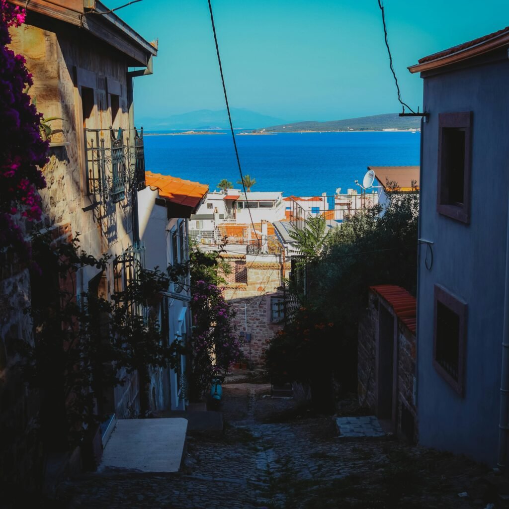 pexels fatih guney 337108406 17394225