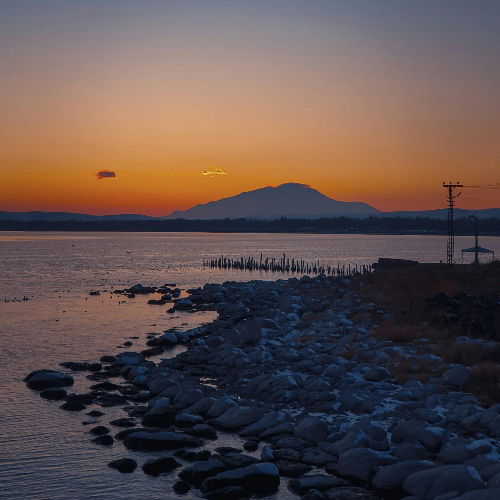 pexels kaya 748456158 32267361