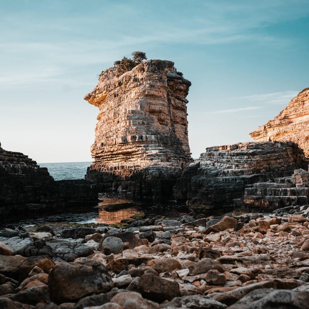 pexels musaortac 11629697