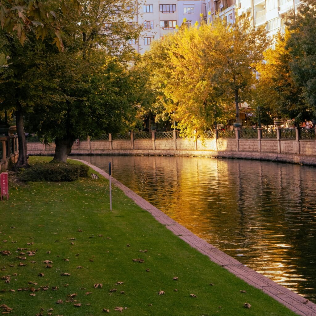 pexels thuong nguyen 927911277 30814354